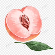 WWW,852se·COM网站APPAPP应用