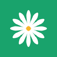 免费黄色视频网站下载官方版APP应用